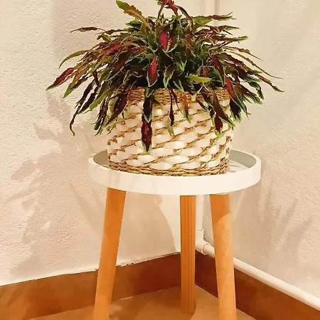 Appartement Il Giglio *